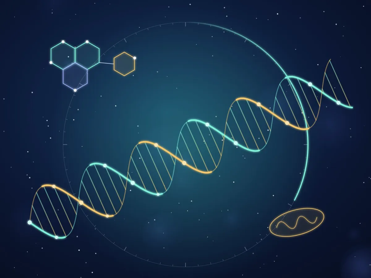 Illustration de la science de la longévité : double hélice d'ADN, molécule de NAD+ et horloge biologique