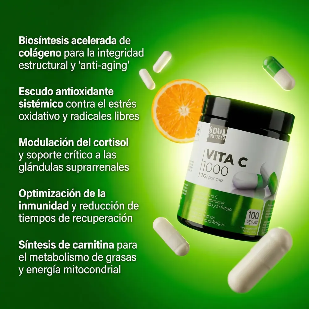 Combo Longévité Avancée - [ NR Puro 60 (NAD+) + Curcumine Cursol® + NAC 600mg + Magnésium (photo 8)
