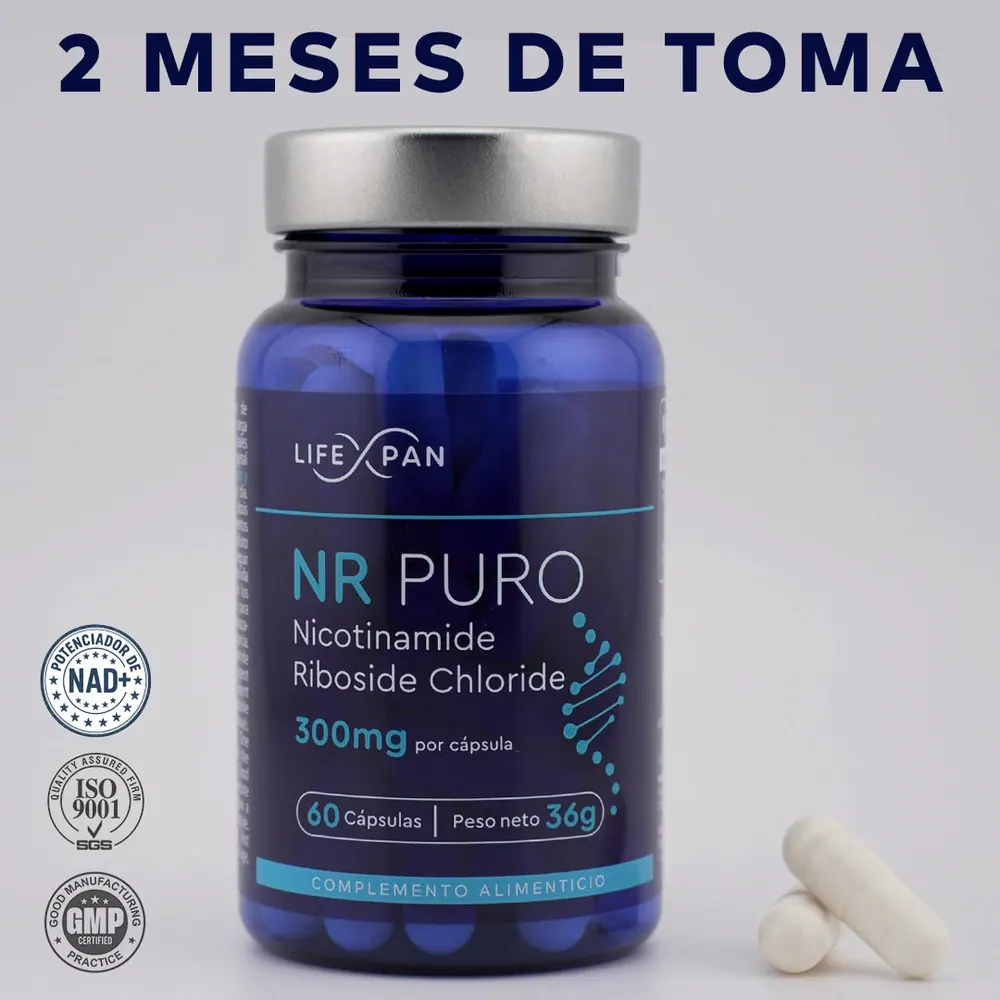 Combo Longévité Avancée - [ NR Puro 60 (NAD+) + Curcumine Cursol® + NAC 600mg + Magnésium (photo 9)