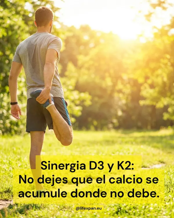 Le triangle des Bermudes du calcium : pourquoi la vitamine D3 a besoin de la K2 (et du magnésium) pour ne pas faire naufrage