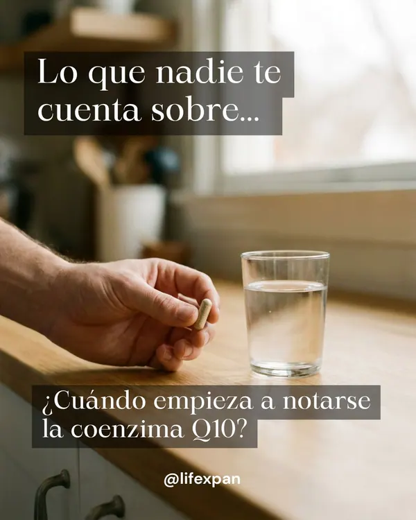Combien de temps met la coenzyme Q10 à se faire sentir : la vraie demi-vie