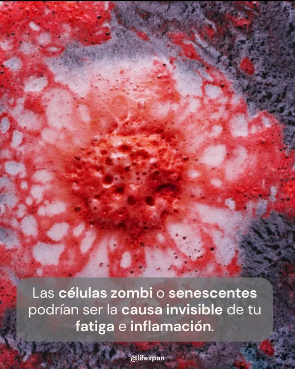 L'éveil des "cellules zombies" : comment la science de pointe "freine" le vieillissement