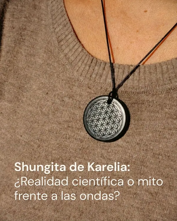 La Shungite de Carélie : Propriétés, Science des Matériaux et son Interaction avec les Ondes Électromagnétiques