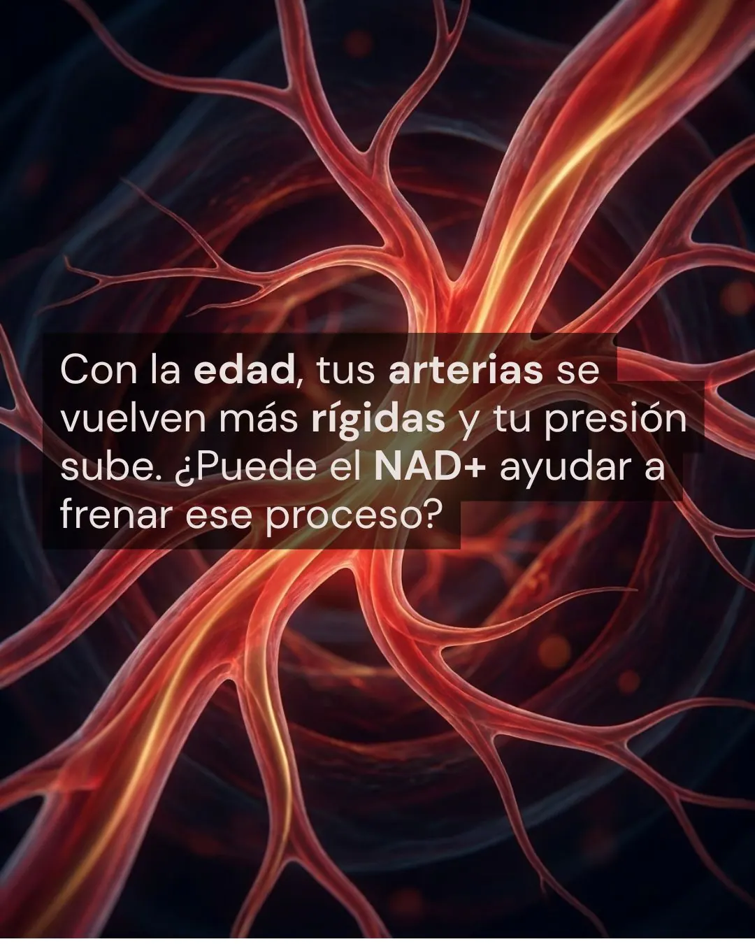 NR et santé cardiovasculaire : ce que dit la science sur le NAD+ et vos artères