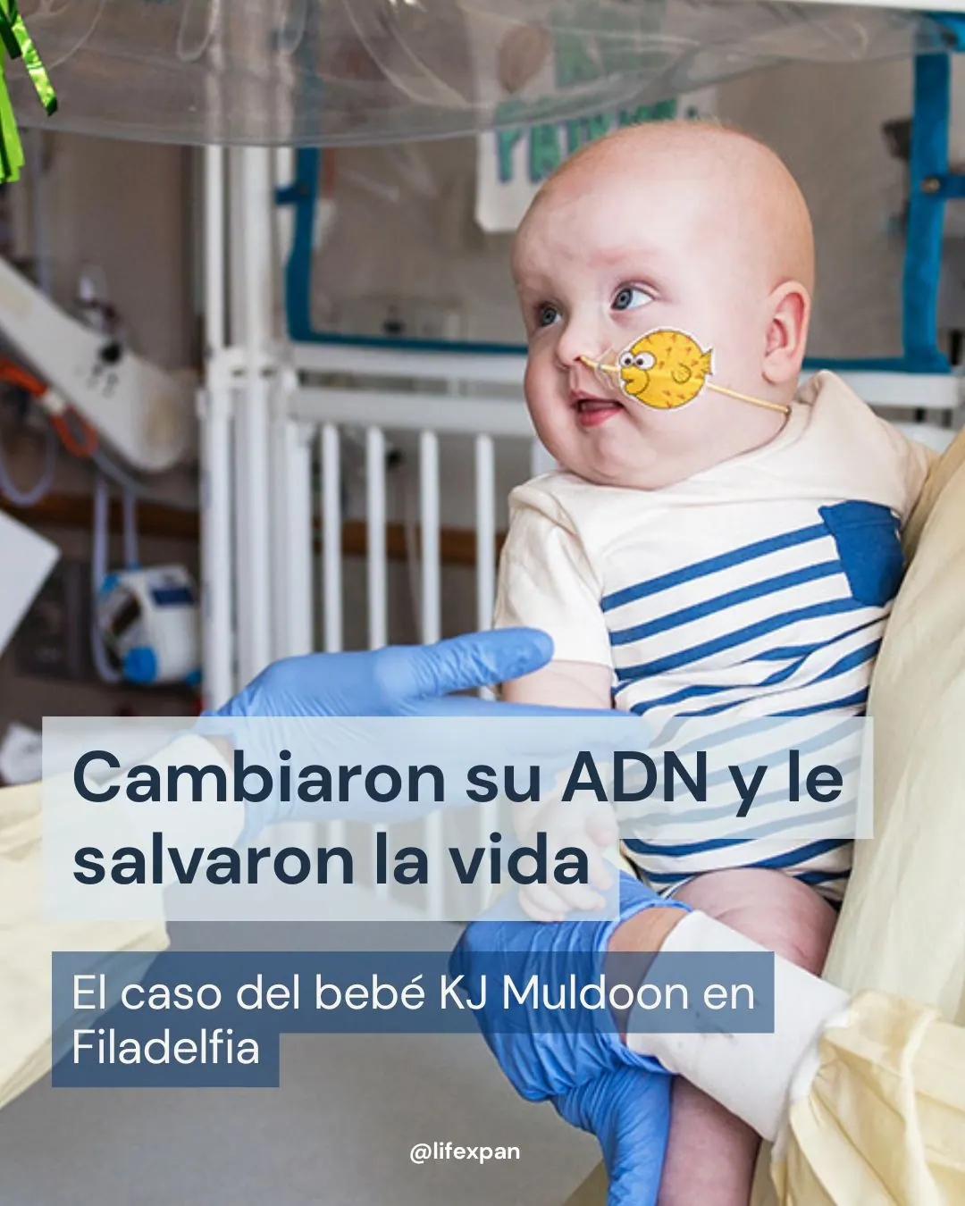 Le Code de la Vie s'Édite "à la Carte" : Le Cas de KJ Muldoon et la Révolution de la Médecine Personnalisée