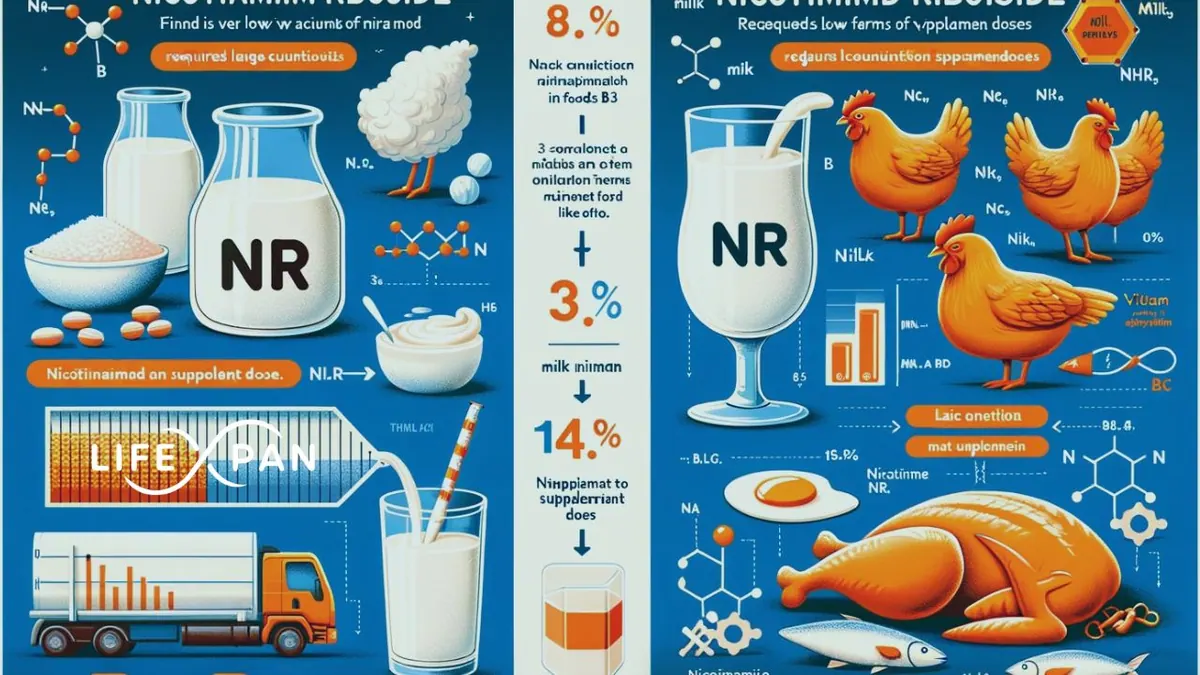 Quels aliments contiennent de la vitamine B3 ?
