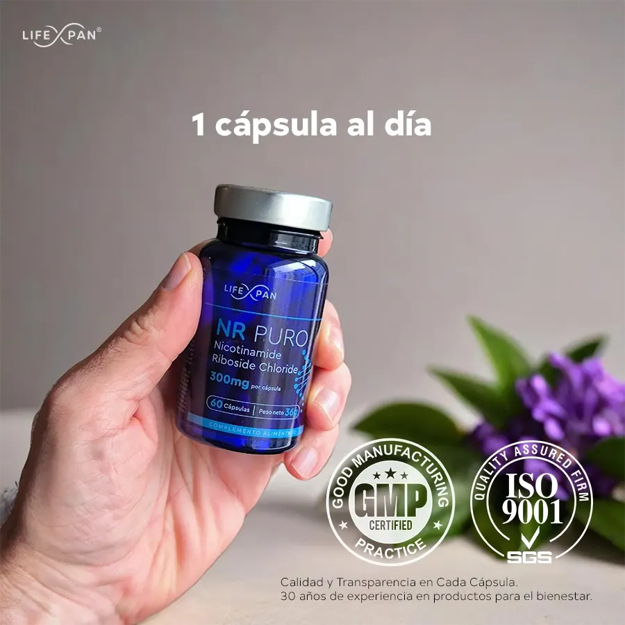 Combo Longévité Avancée - [ NR Puro 60 (NAD+) + Curcumine Cursol® + NAC 600mg + Magnésium (photo 10)