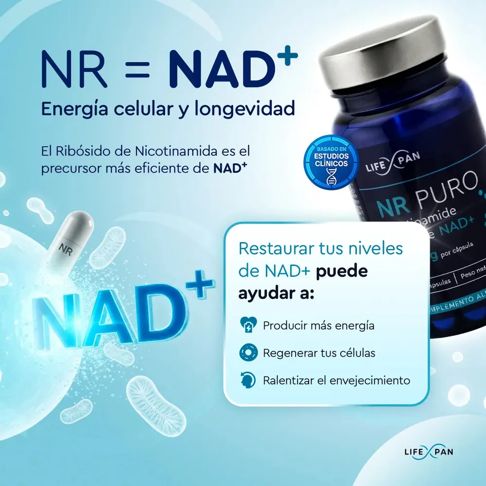 Combo Protocole Régénération Cellulaire [ NR Pur 60 (NAD+) + NAC + Curcumine Cursol® + Bisgl (photo 2)